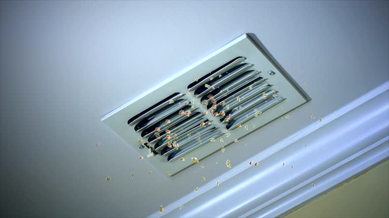 Best Air Duct Cleaning Near Me  in Nth Bend, OR
